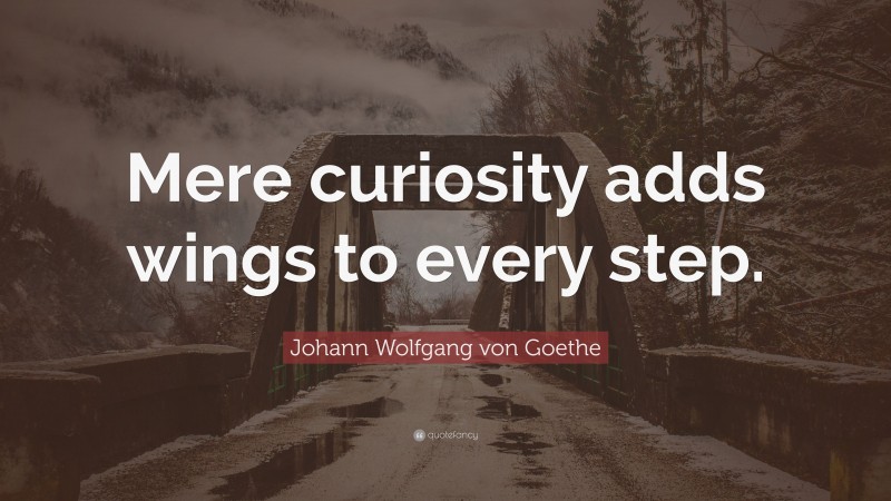 Johann Wolfgang von Goethe Quote: “Mere curiosity adds wings to every step.”