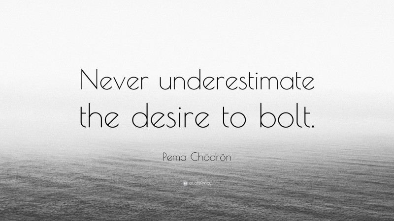 Pema Chödrön Quote: “Never underestimate the desire to bolt.”