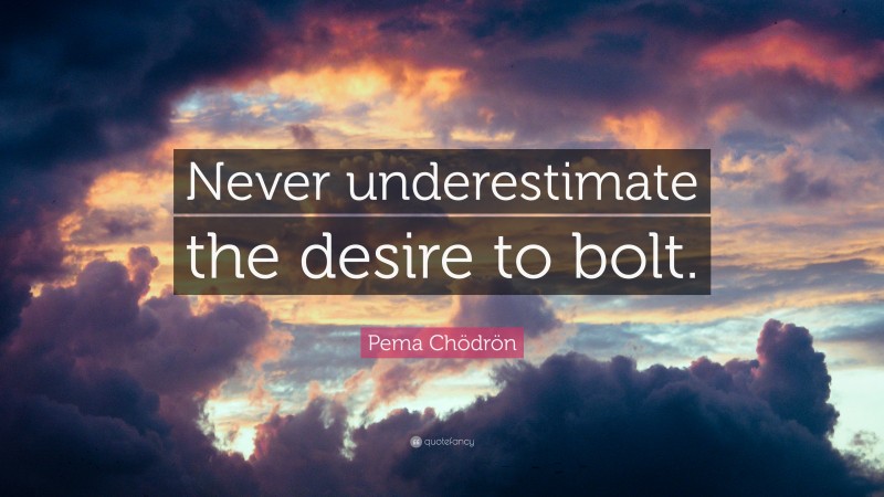 Pema Chödrön Quote: “Never underestimate the desire to bolt.”