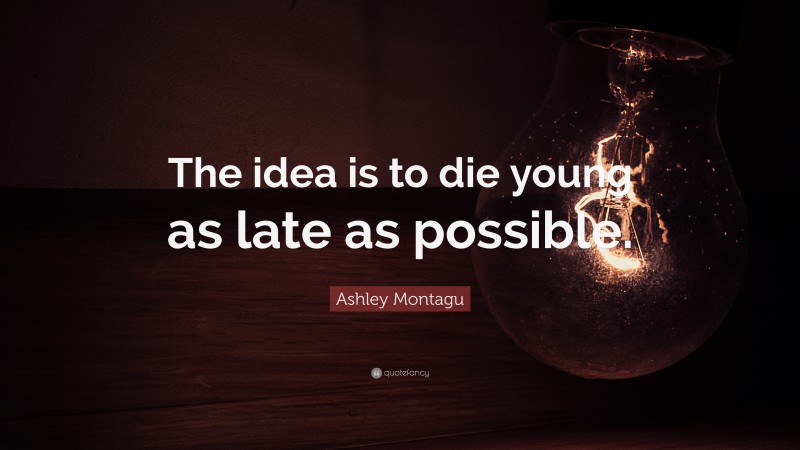 Ashley Montagu Quote: “The idea is to die young as late as possible.”
