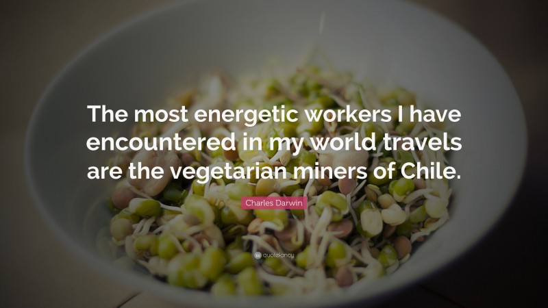 Charles Darwin Quote: “The most energetic workers I have encountered in my world travels are the vegetarian miners of Chile.”