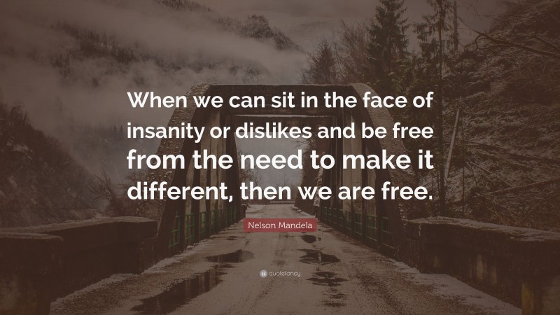 Nelson Mandela Quote: “When we can sit in the face of insanity or dislikes and be free from the need to make it different, then we are free.”