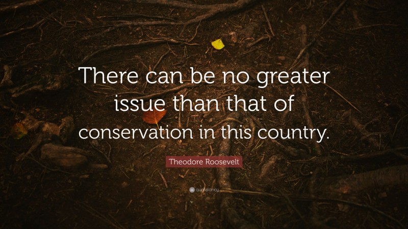 Theodore Roosevelt Quote: “There can be no greater issue than that of conservation in this country.”