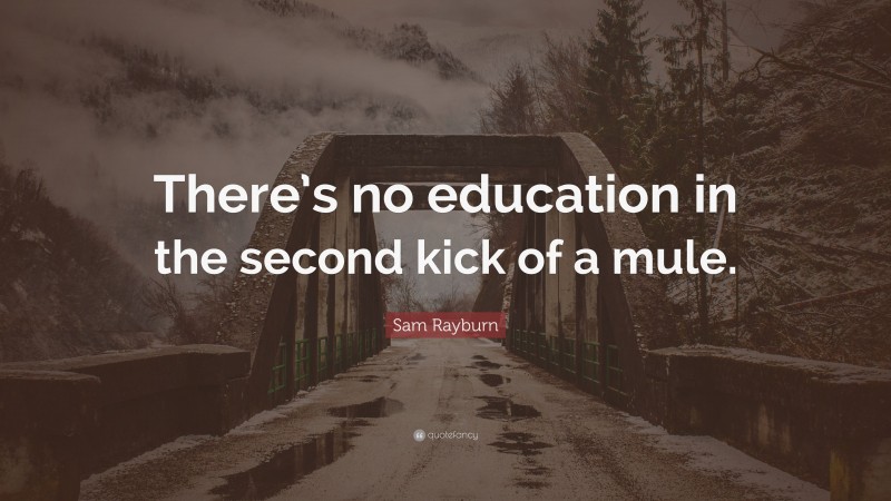 Sam Rayburn Quote: “There’s no education in the second kick of a mule.”