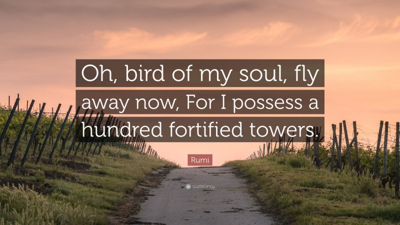 Rumi Quote: “Oh, bird of my soul, fly away now, For I possess a hundred fortified towers.”