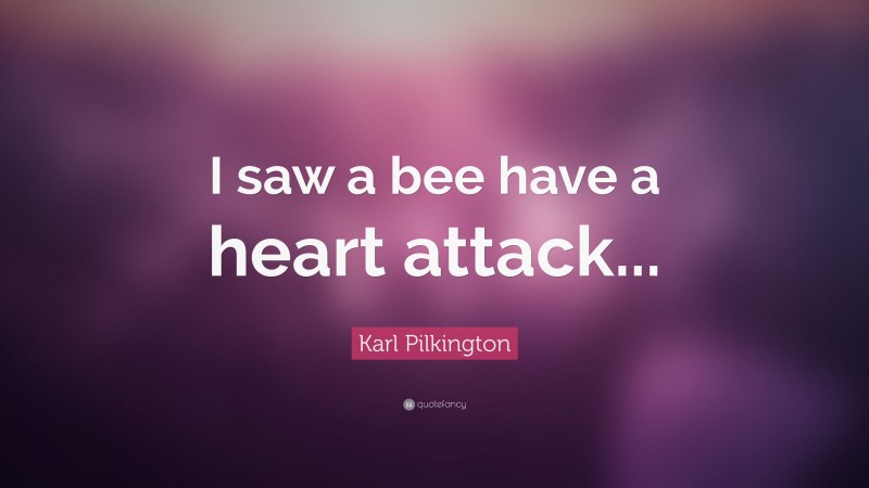 Karl Pilkington Quote: “I saw a bee have a heart attack...”