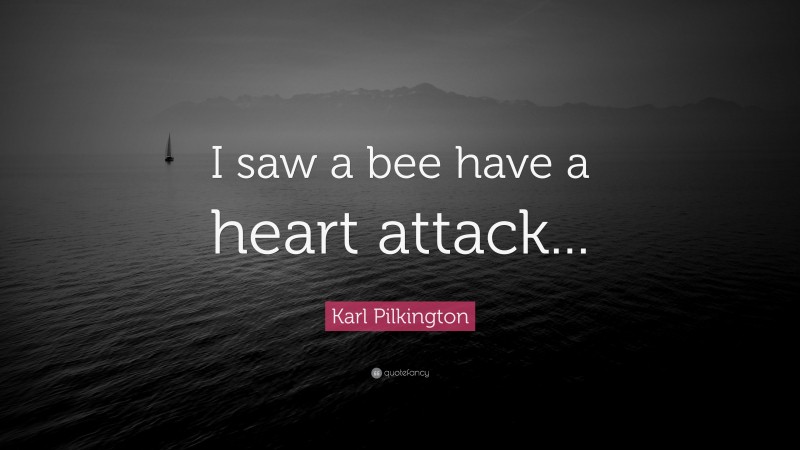 Karl Pilkington Quote: “I saw a bee have a heart attack...”