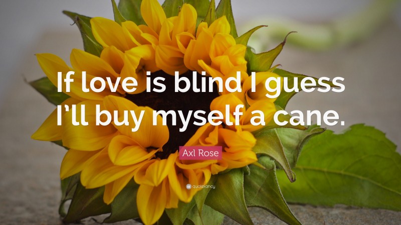 Axl Rose Quote: “If love is blind I guess I’ll buy myself a cane.”