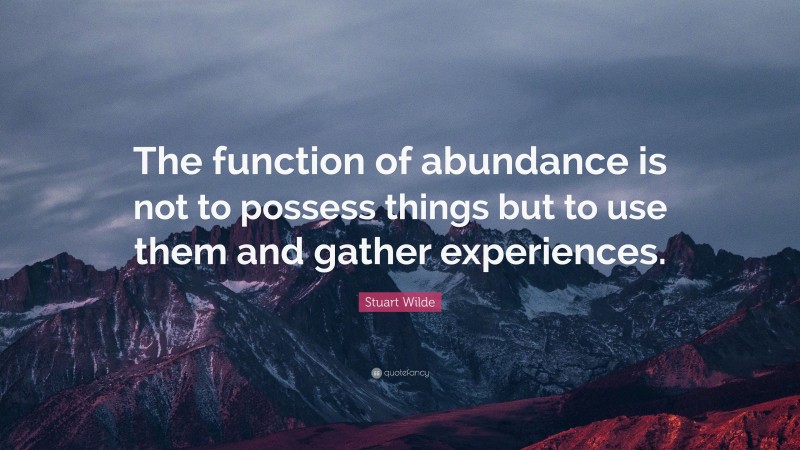 Stuart Wilde Quote: “The function of abundance is not to possess things but to use them and gather experiences.”