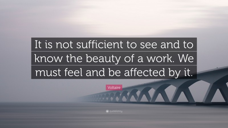 Voltaire Quote: “It is not sufficient to see and to know the beauty of a work. We must feel and be affected by it.”