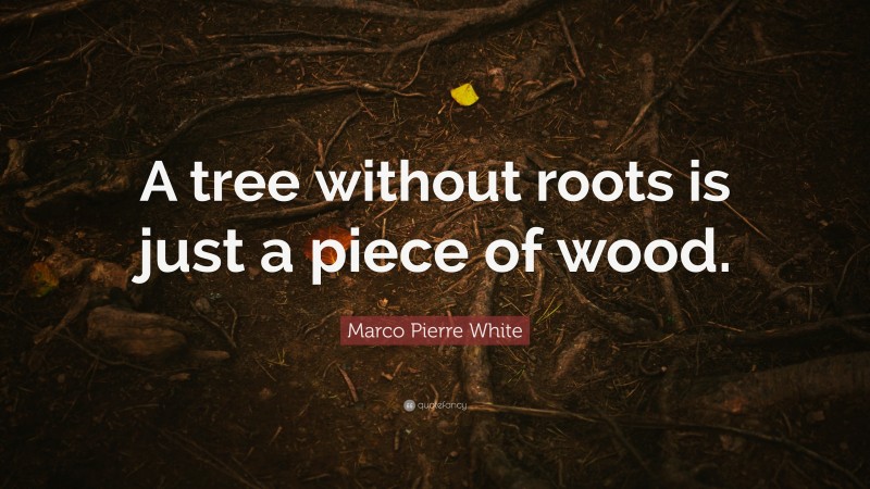 Marco Pierre White Quote: “A tree without roots is just a piece of wood.”