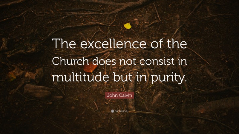 John Calvin Quote: “The excellence of the Church does not consist in multitude but in purity.”