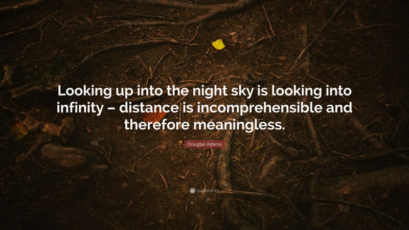 Douglas Adams Quote: “Looking up into the night sky is looking into infinity – distance is incomprehensible and therefore meaningless.”