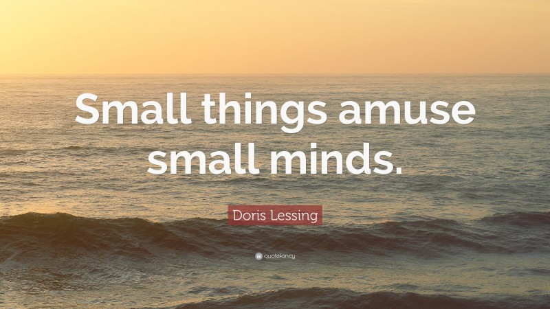 Doris Lessing Quote: “Small things amuse small minds.”