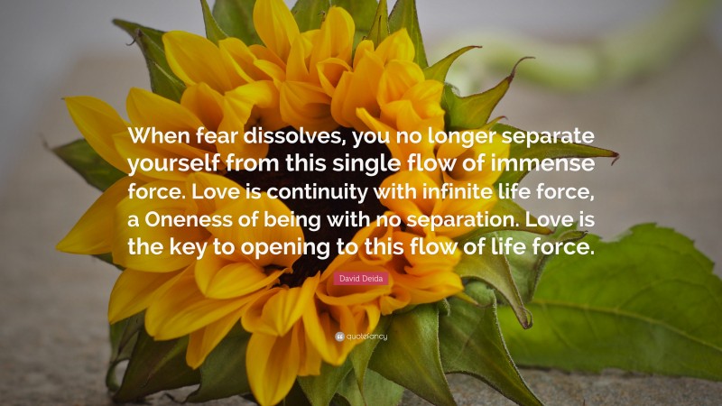 David Deida Quote: “When fear dissolves, you no longer separate yourself from this single flow of immense force. Love is continuity with infinite life force, a Oneness of being with no separation. Love is the key to opening to this flow of life force.”