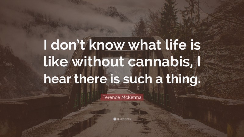 Terence McKenna Quote: “I don’t know what life is like without cannabis, I hear there is such a thing.”
