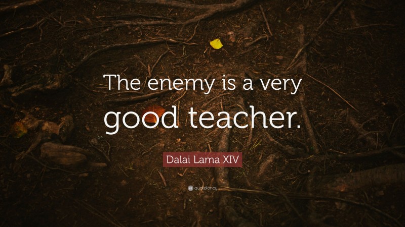Dalai Lama XIV Quote: “The enemy is a very good teacher.”