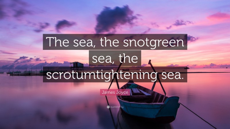 James Joyce Quote: “The sea, the snotgreen sea, the scrotumtightening sea.”