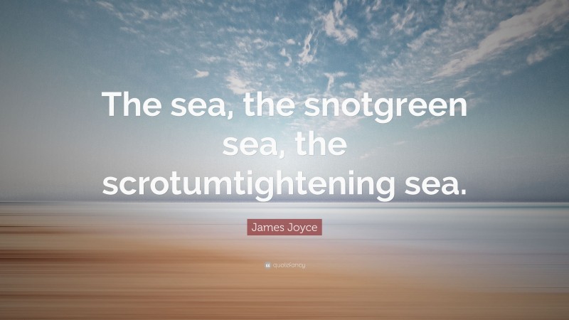 James Joyce Quote: “The sea, the snotgreen sea, the scrotumtightening sea.”