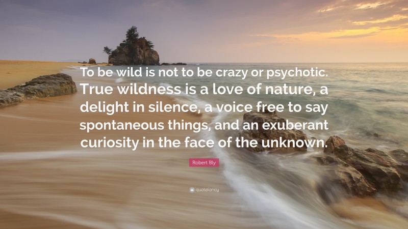 Robert Bly Quote: “To be wild is not to be crazy or psychotic. True wildness is a love of nature, a delight in silence, a voice free to say spontaneous things, and an exuberant curiosity in the face of the unknown.”