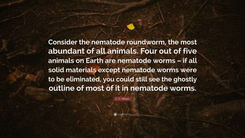 E. O. Wilson Quote: “Consider the nematode roundworm, the most abundant of all animals. Four out of five animals on Earth are nematode worms – if all solid materials except nematode worms were to be eliminated, you could still see the ghostly outline of most of it in nematode worms.”