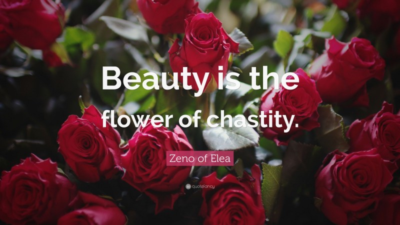 Zeno of Elea Quote: “Beauty is the flower of chastity.”