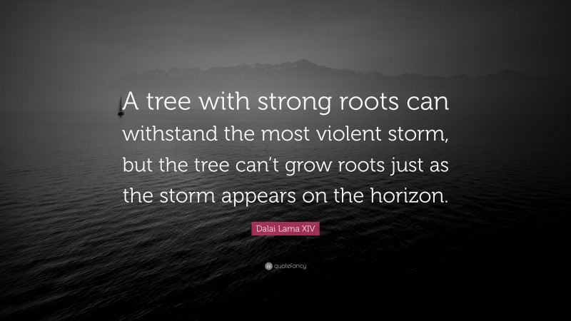 Dalai Lama XIV Quote: “A tree with strong roots can withstand the most violent storm, but the tree can’t grow roots just as the storm appears on the horizon.”