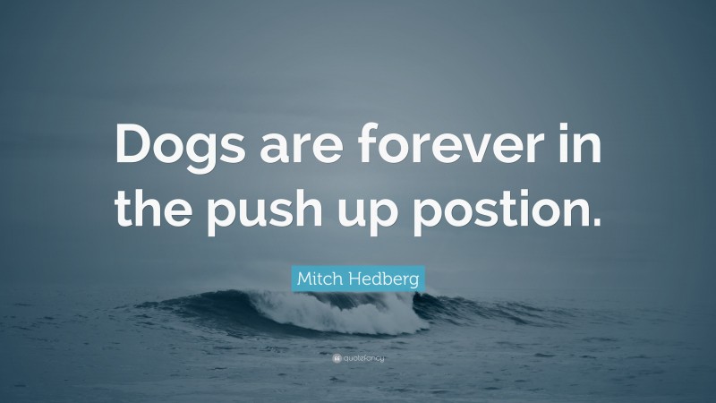 Mitch Hedberg Quote: “Dogs are forever in the push up postion.”
