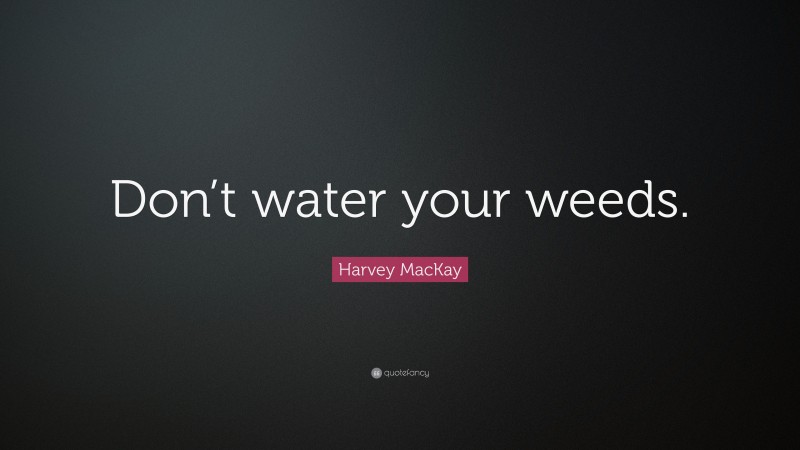 Harvey MacKay Quote: “Don’t water your weeds.”