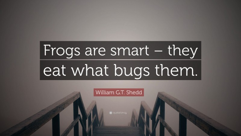 William G.T. Shedd Quote: “Frogs are smart – they eat what bugs them.”