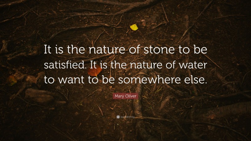 Mary Oliver Quote: “It is the nature of stone to be satisfied. It is the nature of water to want to be somewhere else.”