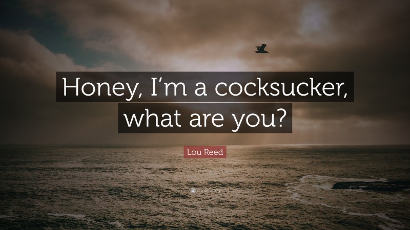 Lou Reed Quote: “Honey, I’m a cocksucker, what are you?”