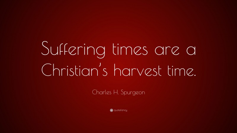 Charles H. Spurgeon Quote: “Suffering times are a Christian’s harvest time.”