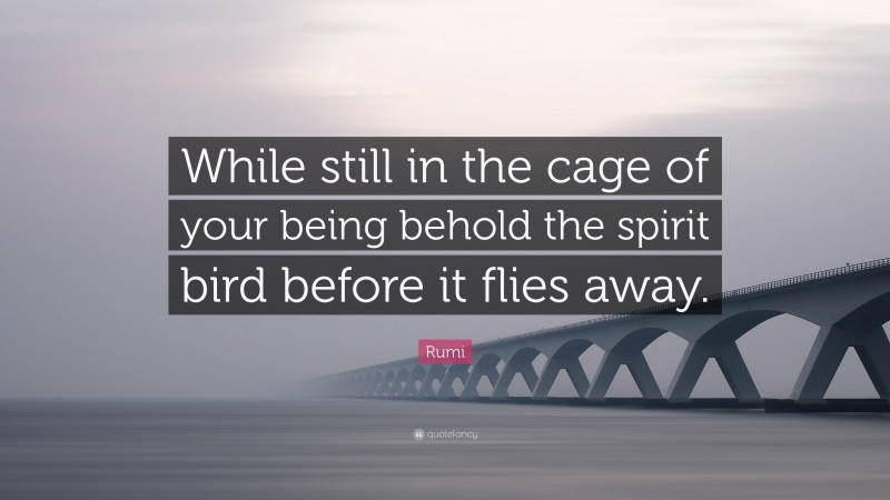 Rumi Quote: “While still in the cage of your being behold the spirit bird before it flies away.”