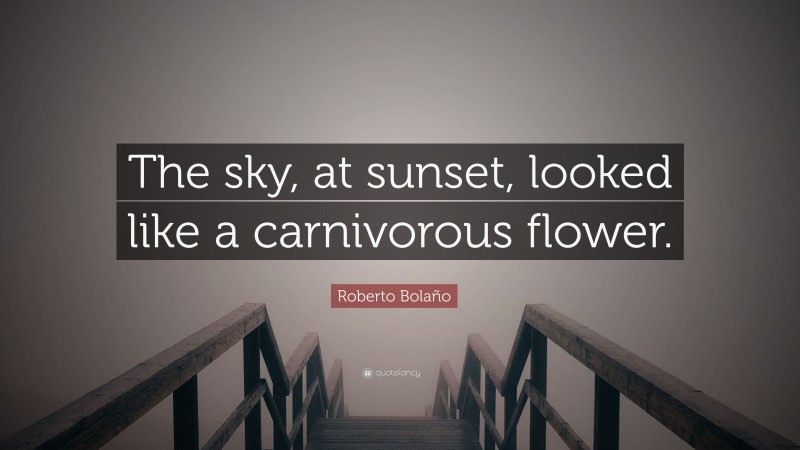 Roberto Bolaño Quote: “The sky, at sunset, looked like a carnivorous flower.”