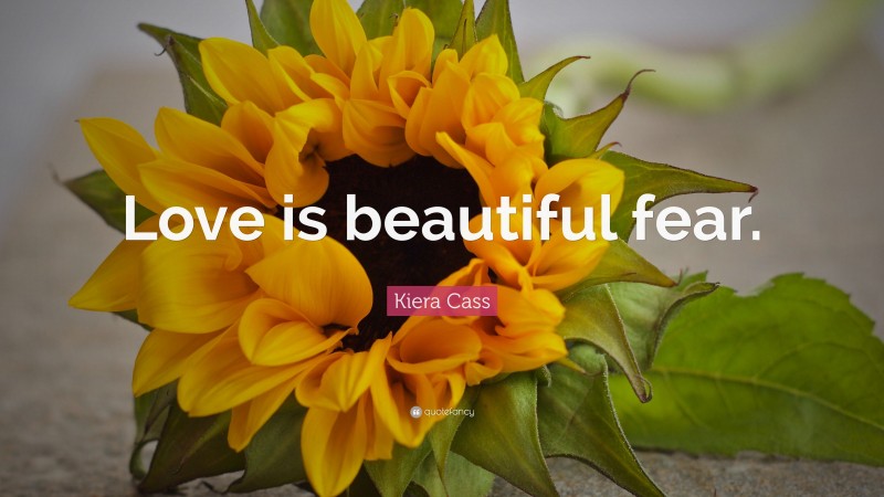 Kiera Cass Quote: “Love is beautiful fear.”