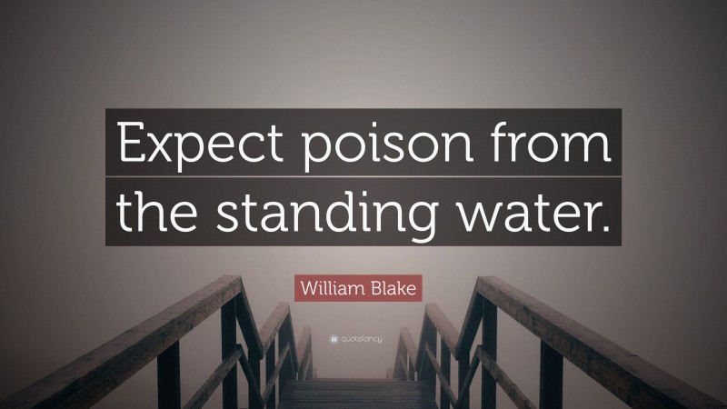 William Blake Quote: “Expect poison from the standing water.”