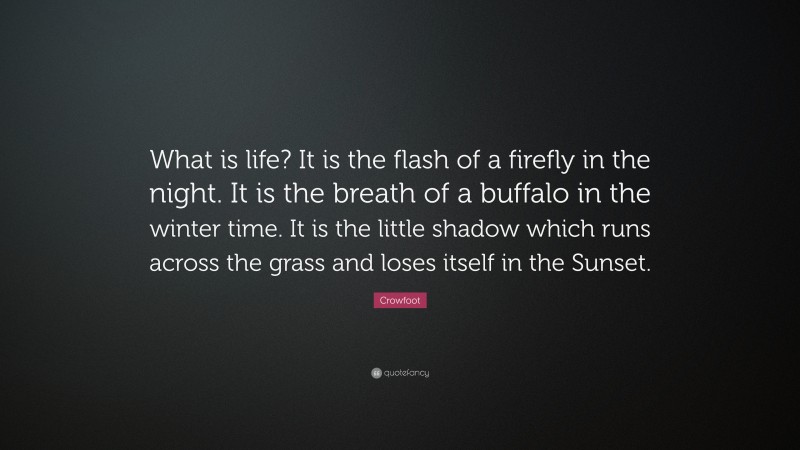 Crowfoot Quote: “What is life? It is the flash of a firefly in the night. It is the breath of a buffalo in the winter time. It is the little shadow which runs across the grass and loses itself in the Sunset.”