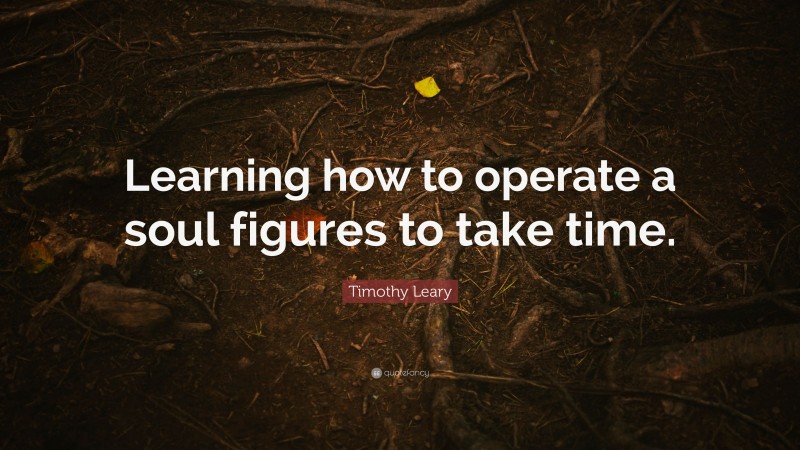 Timothy Leary Quote: “Learning how to operate a soul figures to take time.”