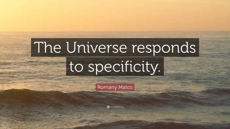 Romany Malco Quote: “The Universe responds to specificity.”