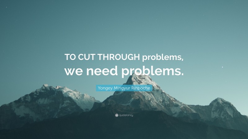 Yongey Mingyur Rinpoche Quote: “TO CUT THROUGH problems, we need problems.”