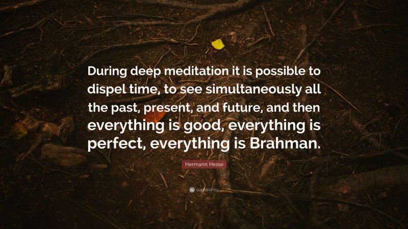 Hermann Hesse Quote: “During deep meditation it is possible to dispel ...