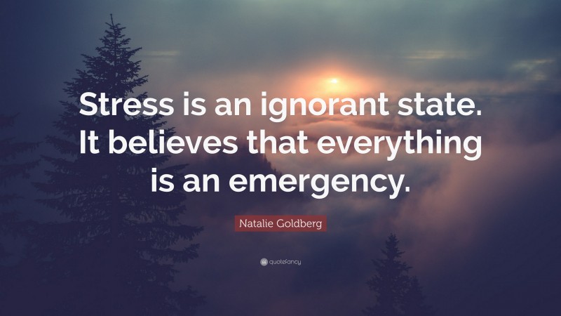 Natalie Goldberg Quote: “Stress is an ignorant state. It believes that everything is an emergency.”