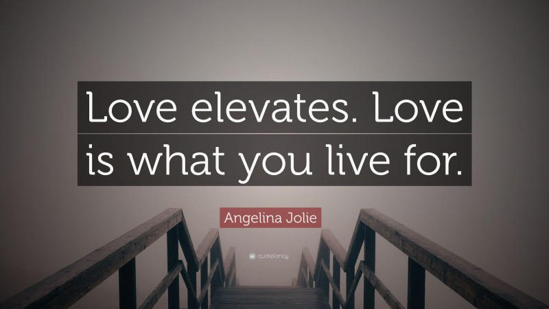 Angelina Jolie Quote: “Love elevates. Love is what you live for.”