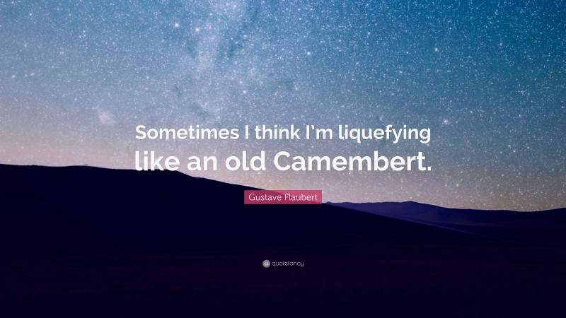 Gustave Flaubert Quote: “Sometimes I think I’m liquefying like an old Camembert.”