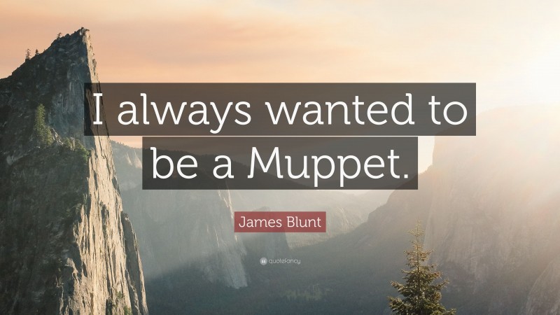 James Blunt Quote: “I always wanted to be a Muppet.”