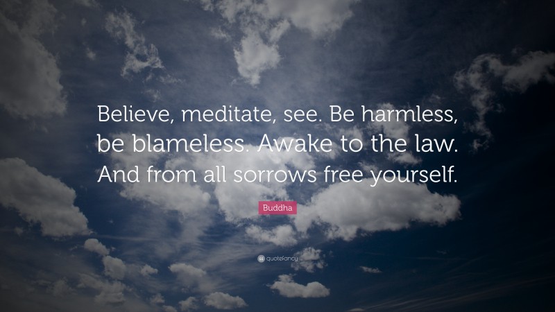 Buddha Quote: “Believe, meditate, see. Be harmless, be blameless. Awake to the law. And from all sorrows free yourself.”