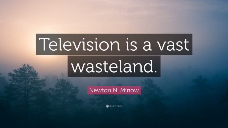 Newton N. Minow Quote: “Television is a vast wasteland.”