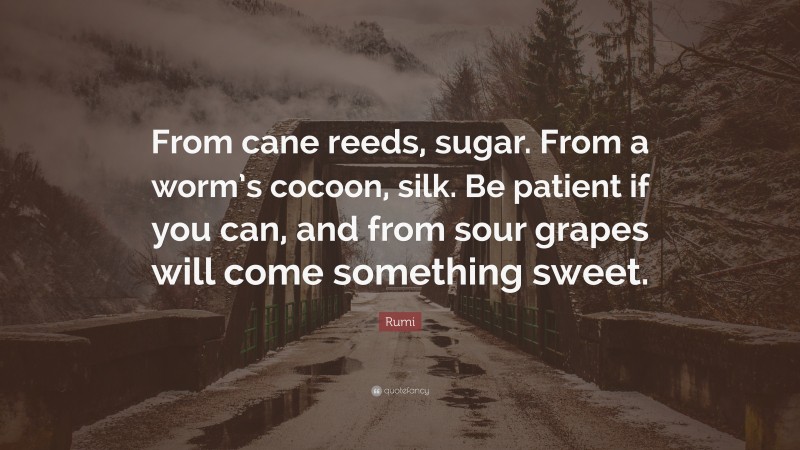 Rumi Quote: “From cane reeds, sugar. From a worm’s cocoon, silk. Be patient if you can, and from sour grapes will come something sweet.”
