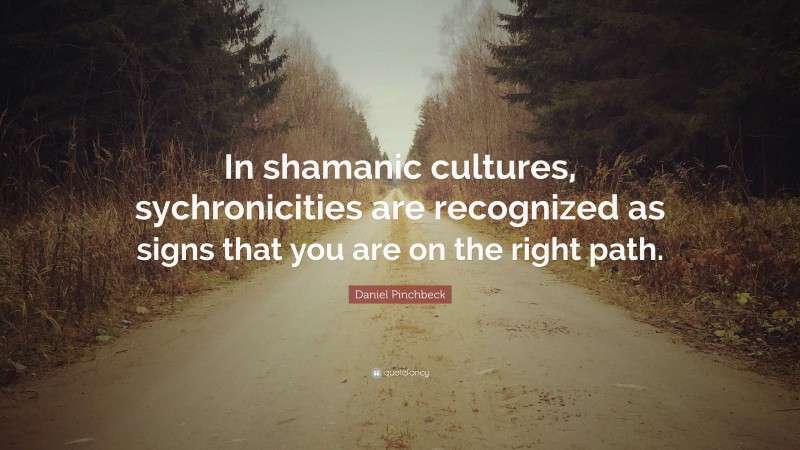 Daniel Pinchbeck Quote: “In shamanic cultures, sychronicities are recognized as signs that you are on the right path.”